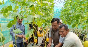 DPMD BUMDes Karawang