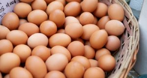 Kenaikan harga telur ayam