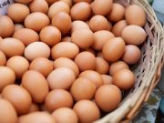 Harga telur Pasar johar