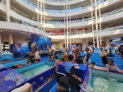 Petualangan samudera