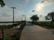 Kebutuhan PJU di Karawang Masih Jauh dari Ideal, Cibuaya Jadi Sorotan Warga PJU cibuaya karawang