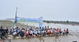 Pln menanam 15.000 bibit mangrove