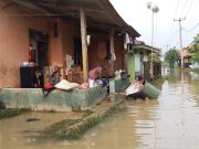 Banjir Karangligar: 554 Korban Jiwa Terdampak, 190 Warga Mengungsi Desa karangligar