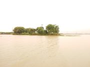 Sektor pertanian Karawang