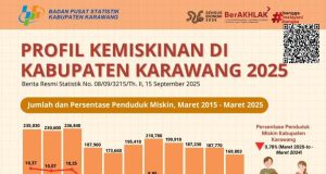 Badan Pusat Statistik