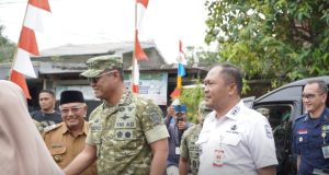 Wakil Panglima tni