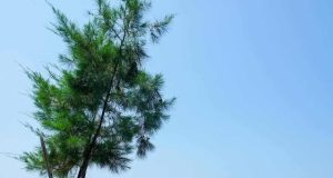 Wisata Karawang