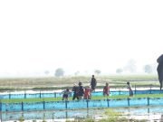 Gerdal PBP Karawang
