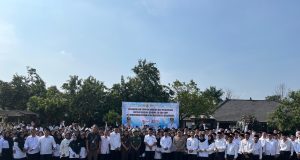 Program mbg