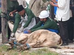 Juru Sembelih Halal