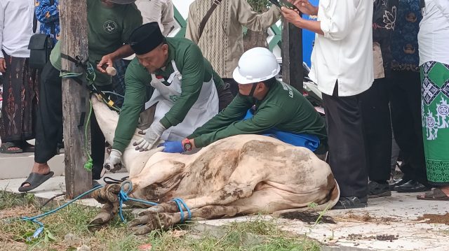 Juru Sembelih Halal