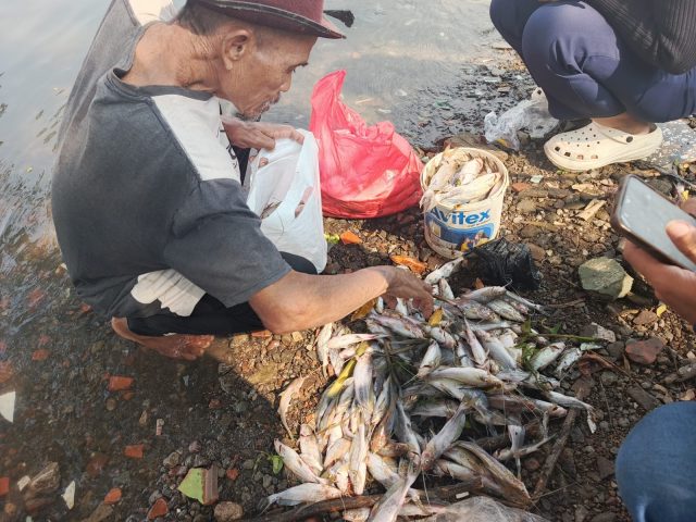 Aliran sungai irigasi