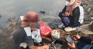Ikan mati
